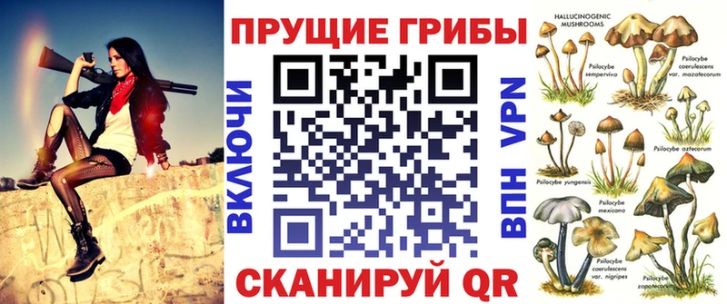 Псилоцибиновые грибы ЛСД  купить   кракен вход  Горячий Ключ 
